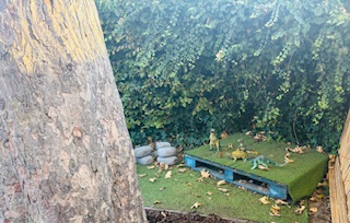 Image 15